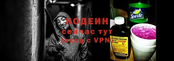 соль ск Волосово