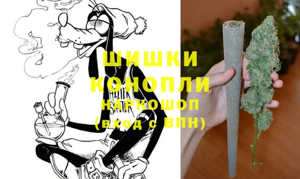 соль ск Волосово