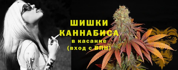 соль ск Волосово